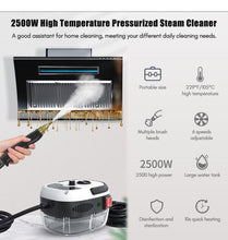 2500W Household High-temperature Steam Cleaner, Sterilization Air Conditioning Kitchen Hood Home Car Steaming Cleaner 220V